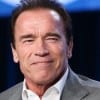 Schwarzenegger Quote