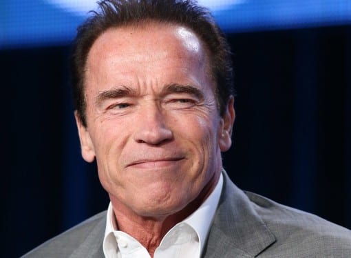 Schwarzenegger Quote