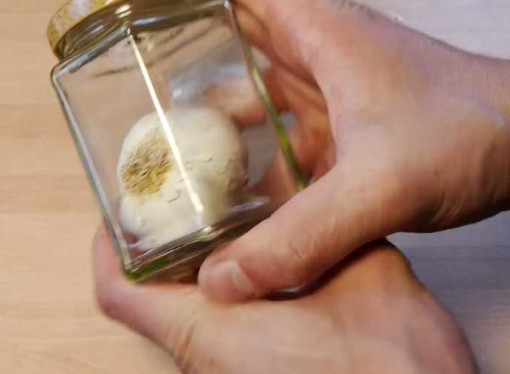 How to peel garlic like a boss