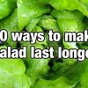 10 ways to make your salad last longer (7-10 days max)