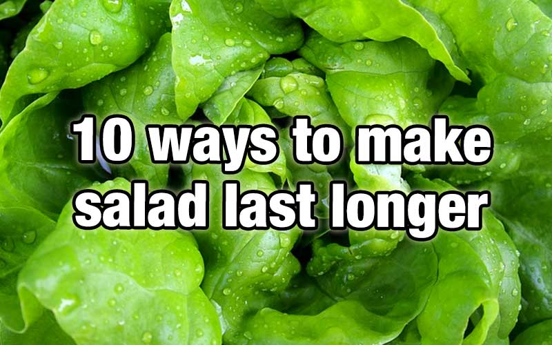10 ways to make your salad last longer (7-10 days max)