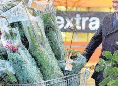 How to pay £1 or 1p for your Christmas Tree