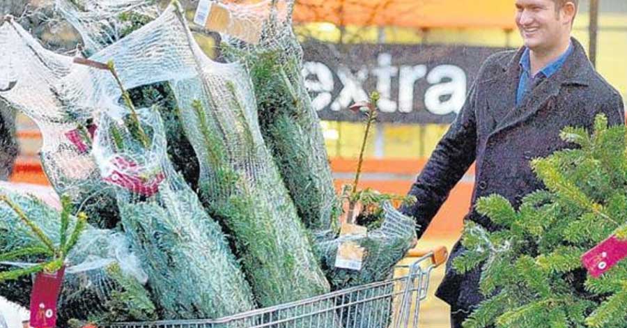 How to pay £1 or 1p for your Christmas Tree