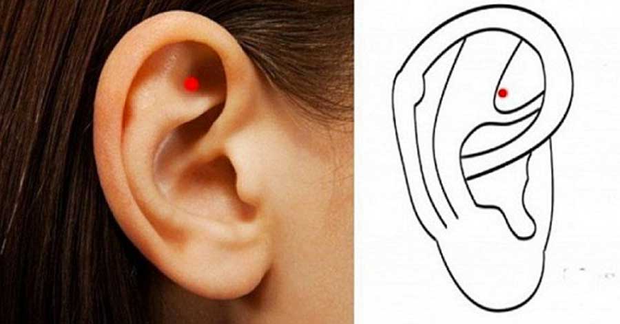 Simple FREE Ear Massage could help you relieve stress and boost energy flow… Myth or awesome trick?