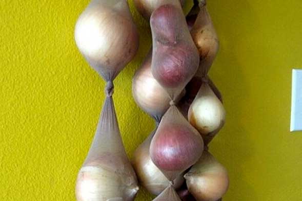 10 ways to make onions last longer (up to 8 months+)