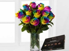 Can you make Rainbow Roses at home? Short answer: Yes!