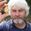 Chap finds £50,000 Gold Nugget on Welsh Beach – Forced to give it to ‘the crown’