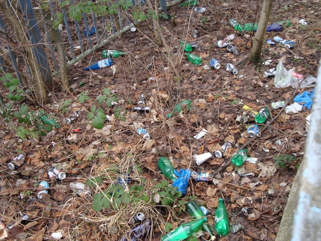 Do you think a plastic bottle deposit scheme could work in the UK? How will this save me money?