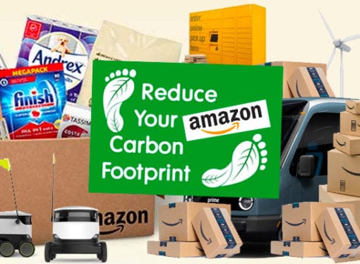 How to reduce your Amazon Carbon Footprint
